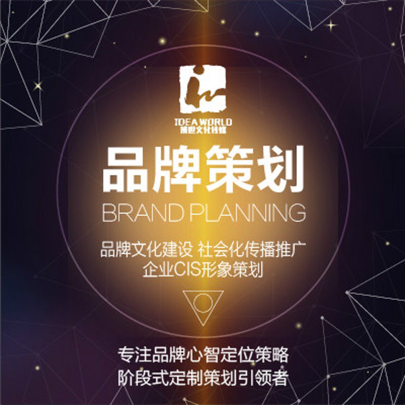品牌策划,引领企业飞向更高之巅